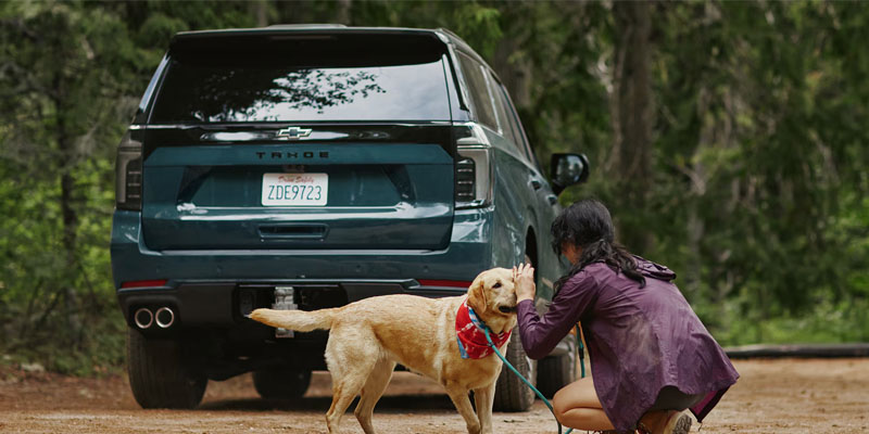 Chevrolet Tahoe full-size SUV parked outdoors with a person and dog nearby.