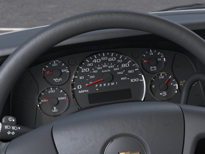 2025 Chevrolet Express Passenger 1LS