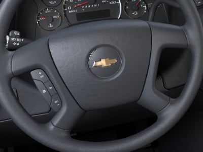 2025 Chevrolet Express Passenger 3500 1LS