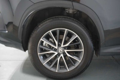 2025 Lexus NX NX 250