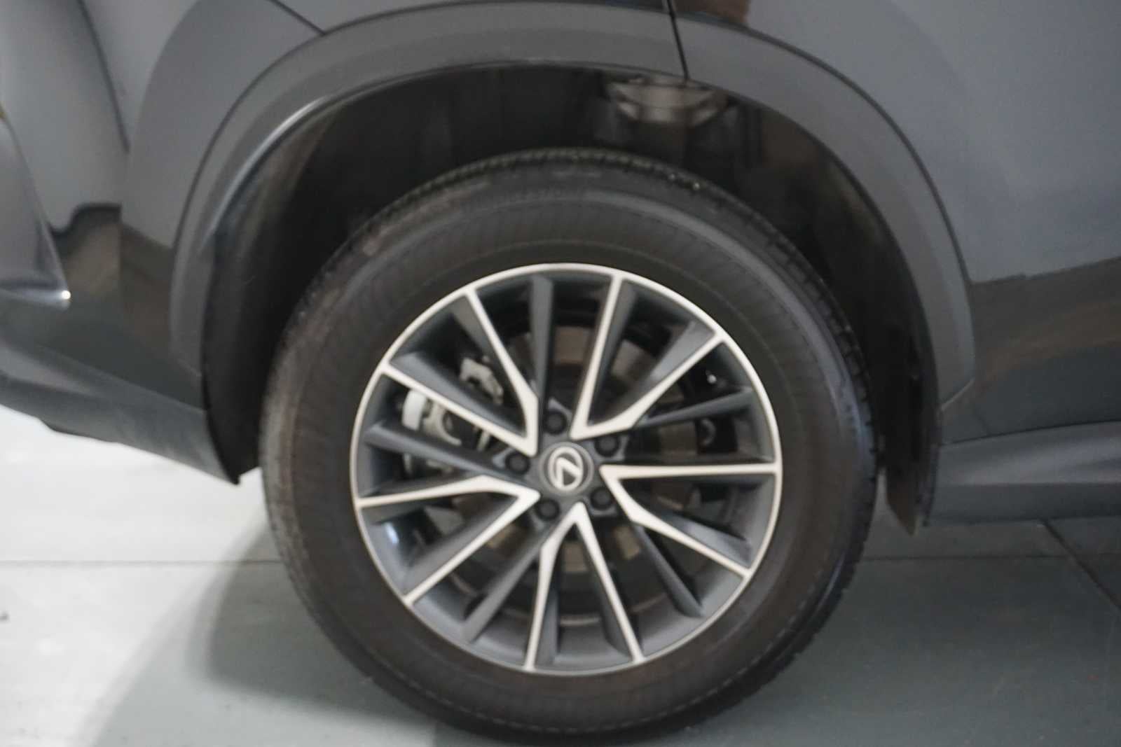 2025 Lexus NX NX 250