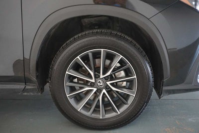 2025 Lexus NX NX 250