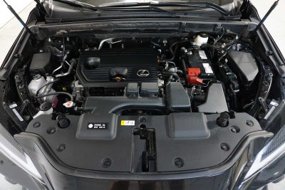 2025 Lexus NX NX 250