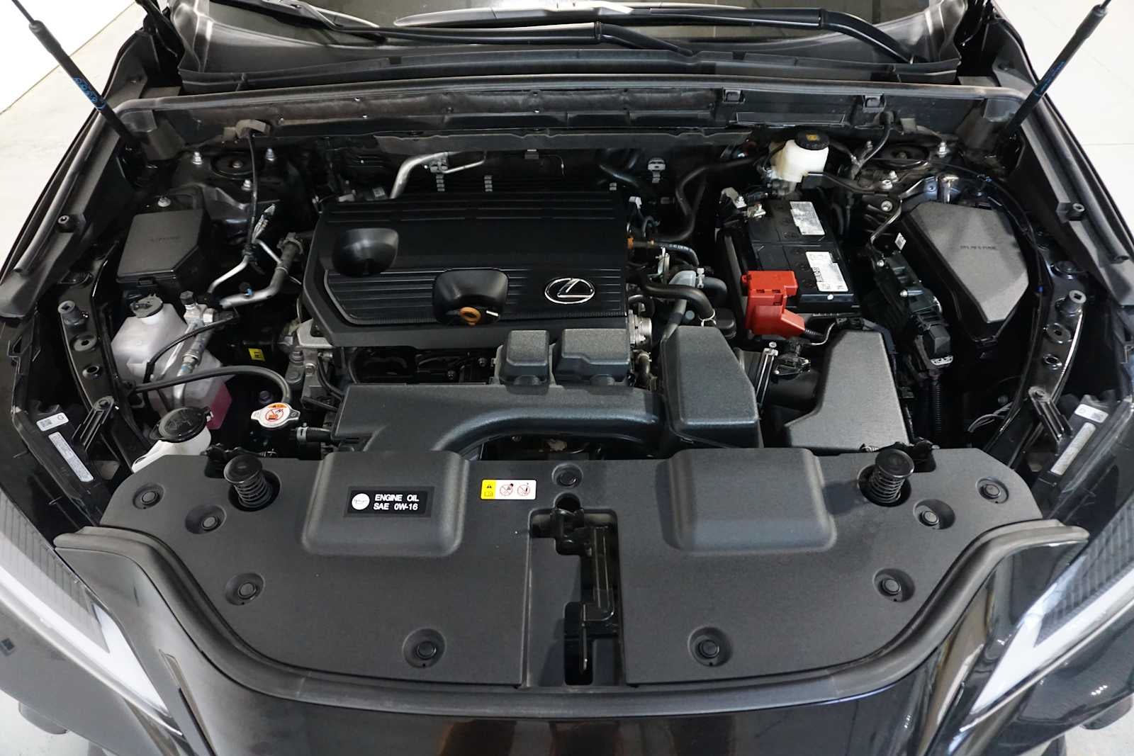 2025 Lexus NX NX 250