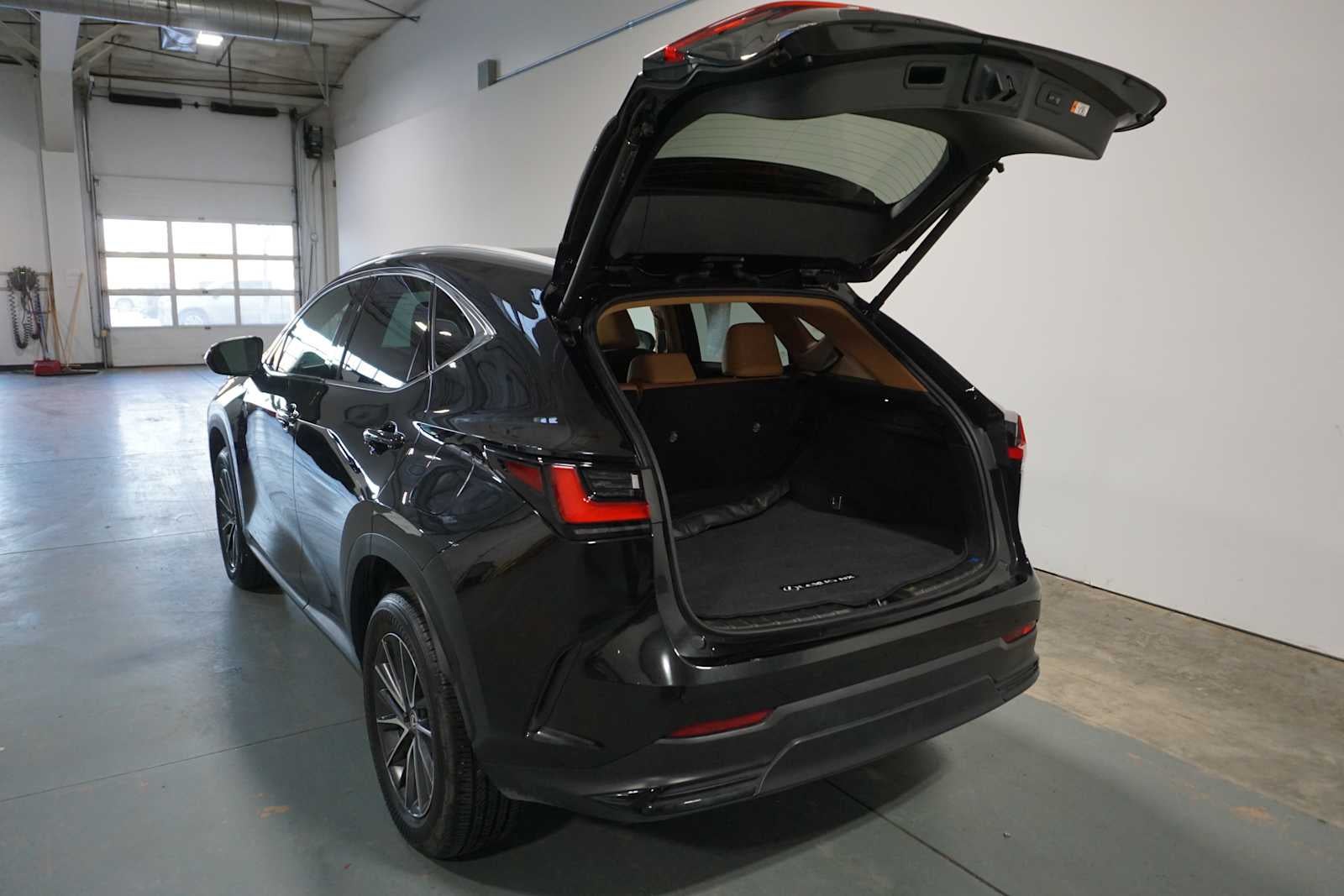 2025 Lexus NX NX 250