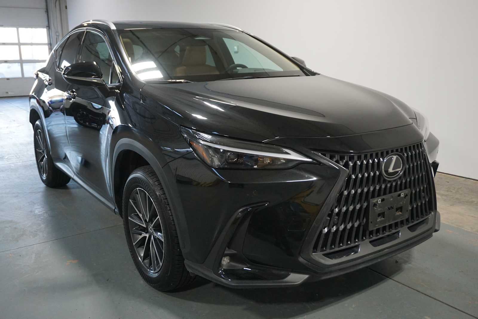 2025 Lexus NX NX 250